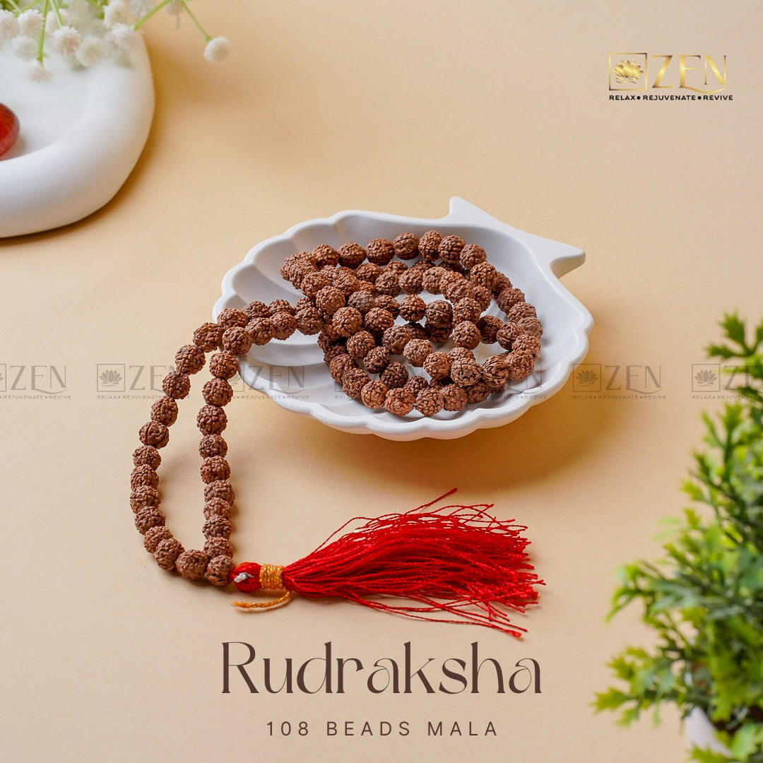Trimbakeshwar Rudraksha (Godavari Source) - dharmic.store