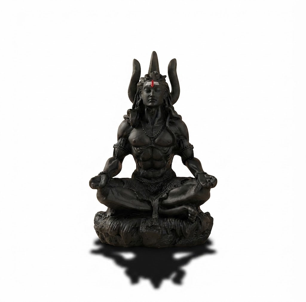 Shiva Rudra Dhyan Sculpture