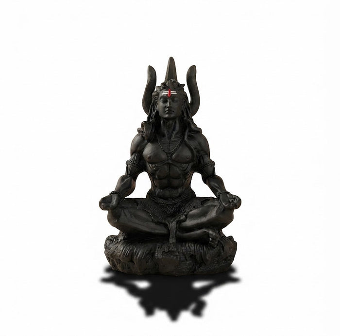 Shiva Rudra Dhyan Sculpture