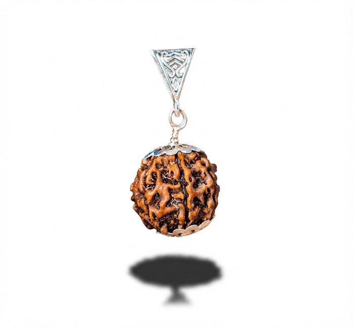Siddh Saat Mukhi Rudraksh (Rinmukteshwar Mandir)